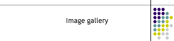 Image gallery