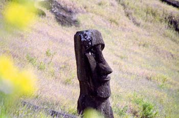RapaNui-Moais-RanoRaraku4