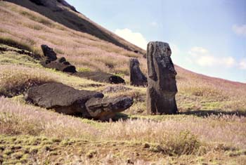 RapaNui-RanoRaraku-RiesenImGras