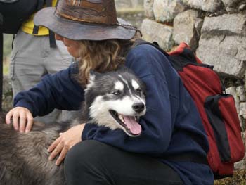 Peru-Machu-Pichu-019-